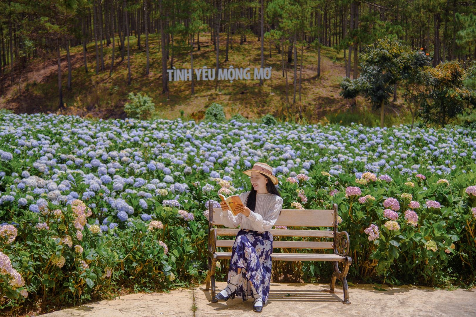 Trải nghiệm thung lũng tình yêu Đà Lạt
